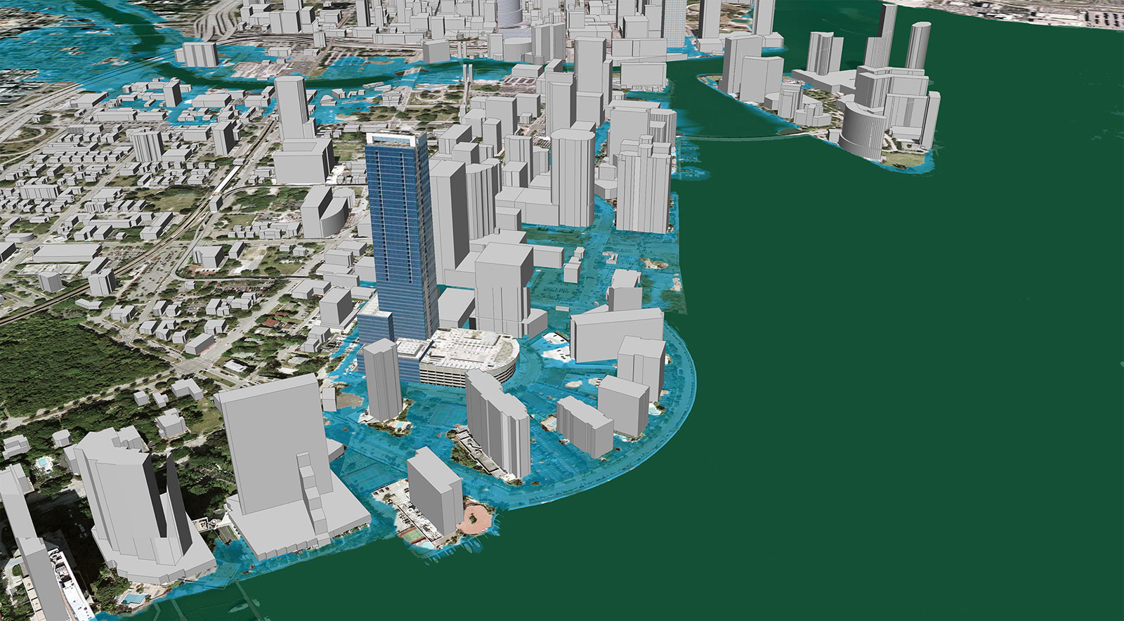 Keeping a Rising Sea at Bay Audubon